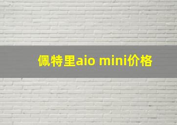 佩特里aio mini价格